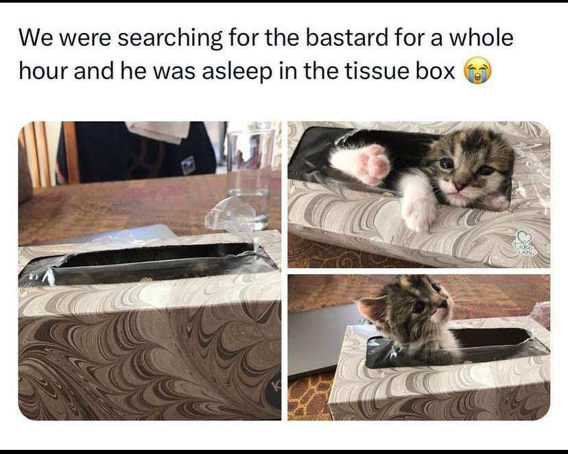 IMG_20240205_224809.