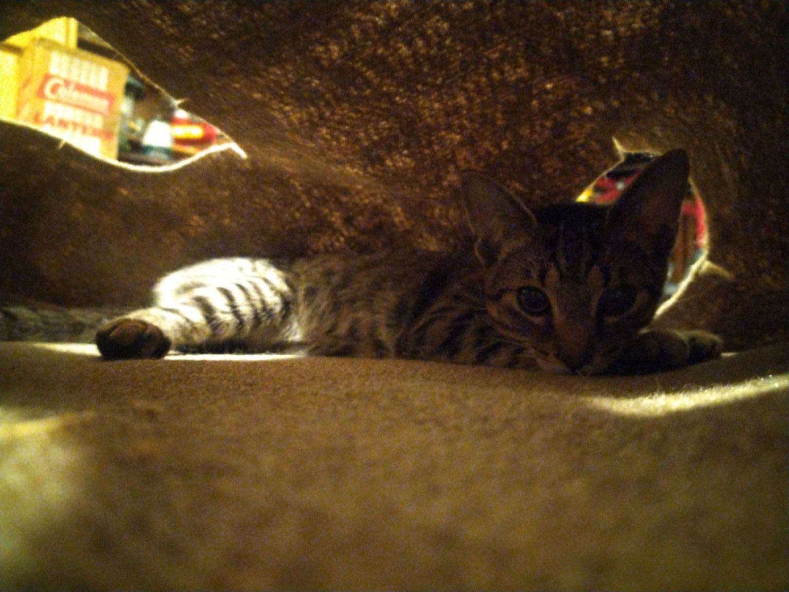 IMG_20240208_211620.