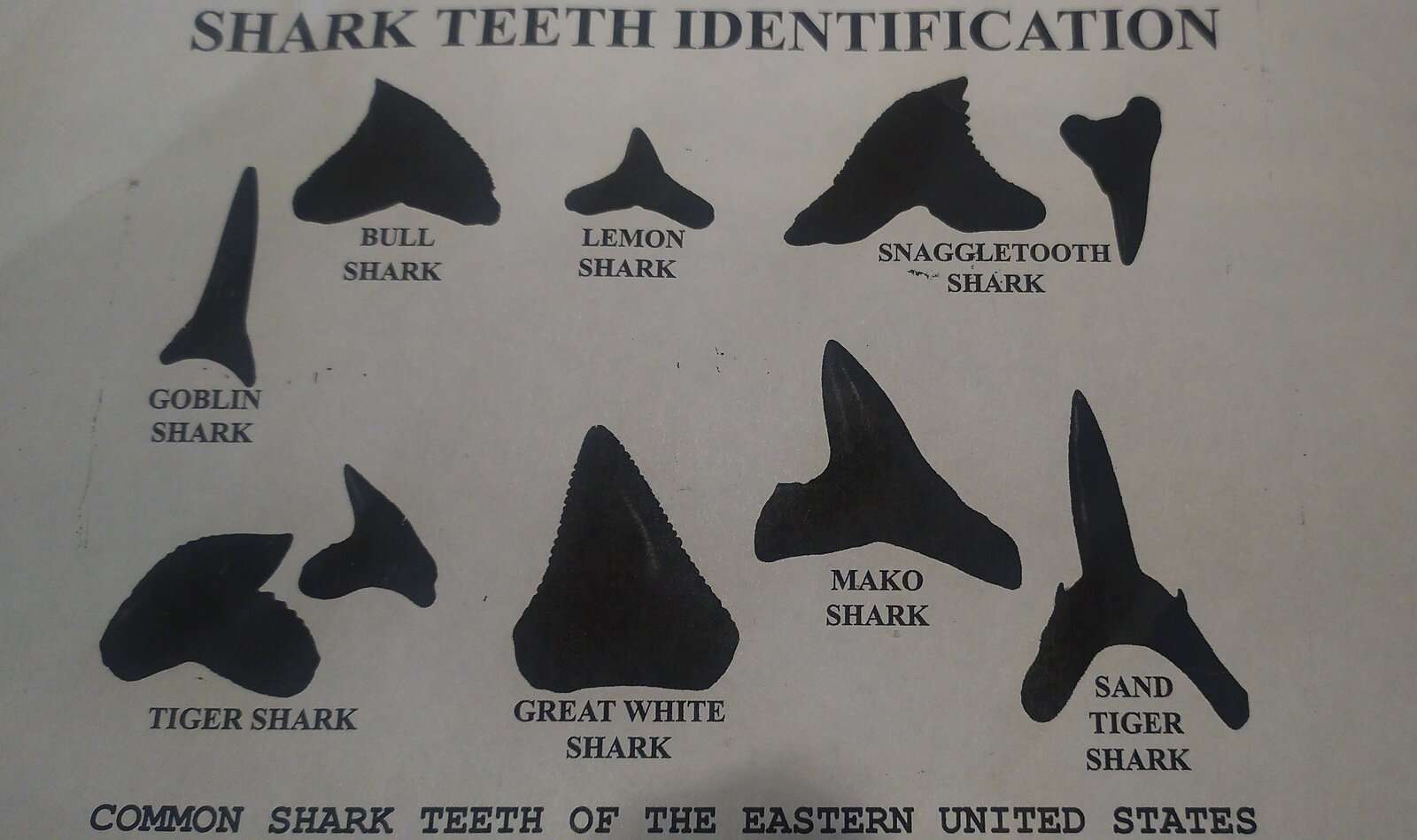 IMG_20240210_122306.