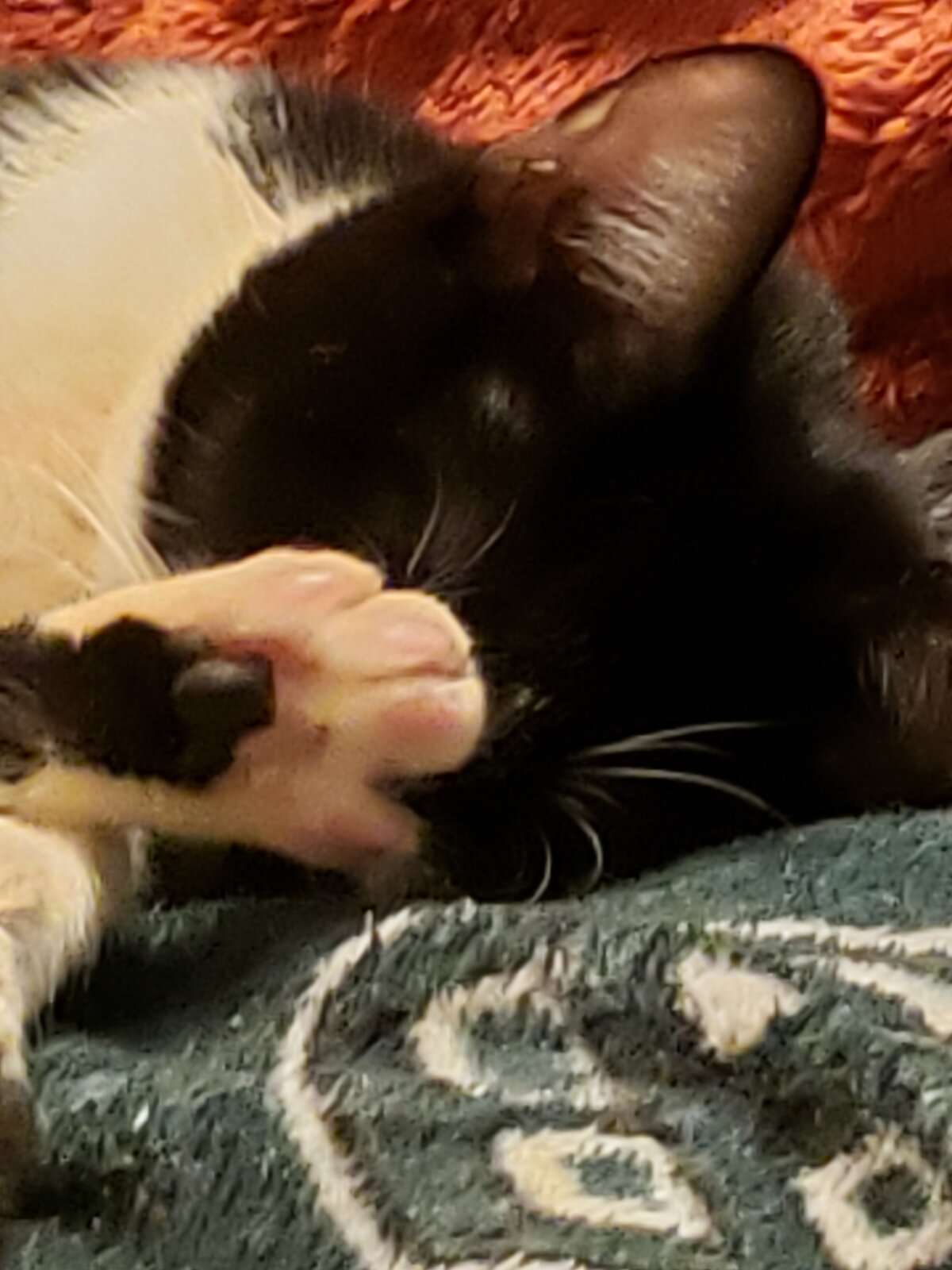 IMG_20240307_235824.