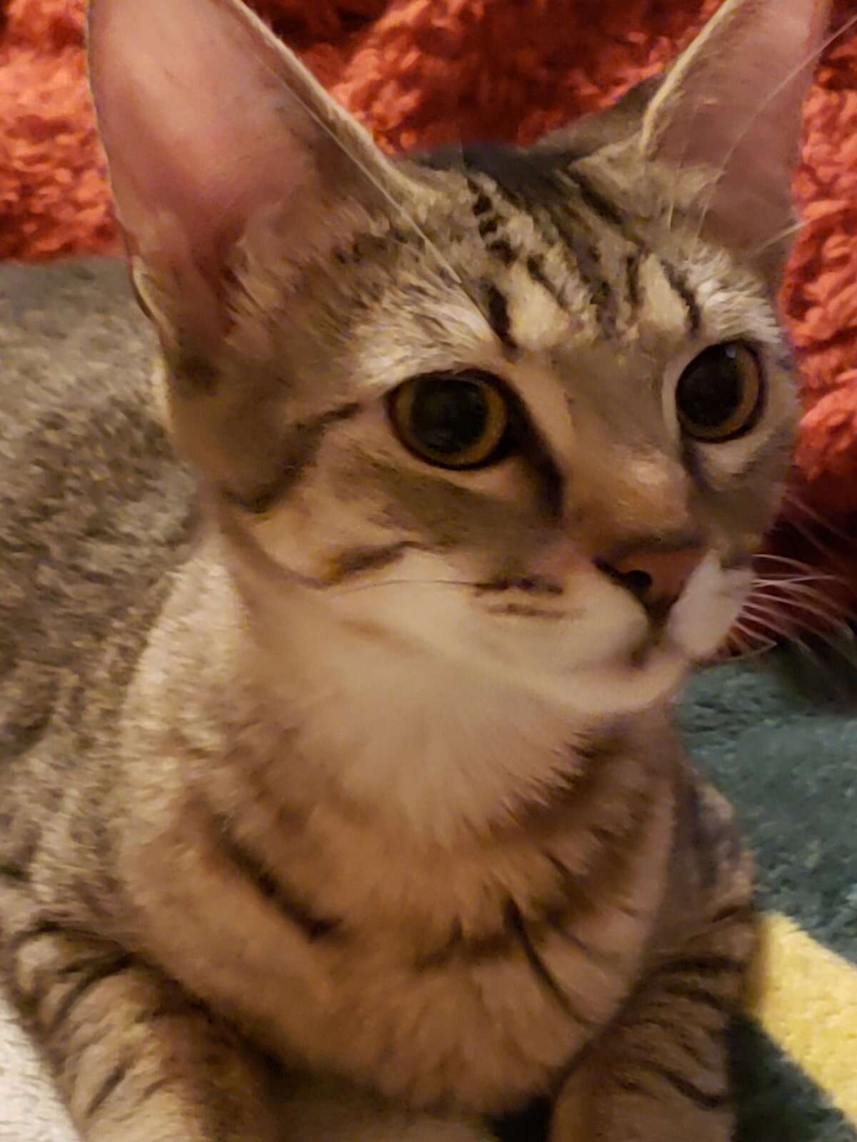 IMG_20240318_094659.