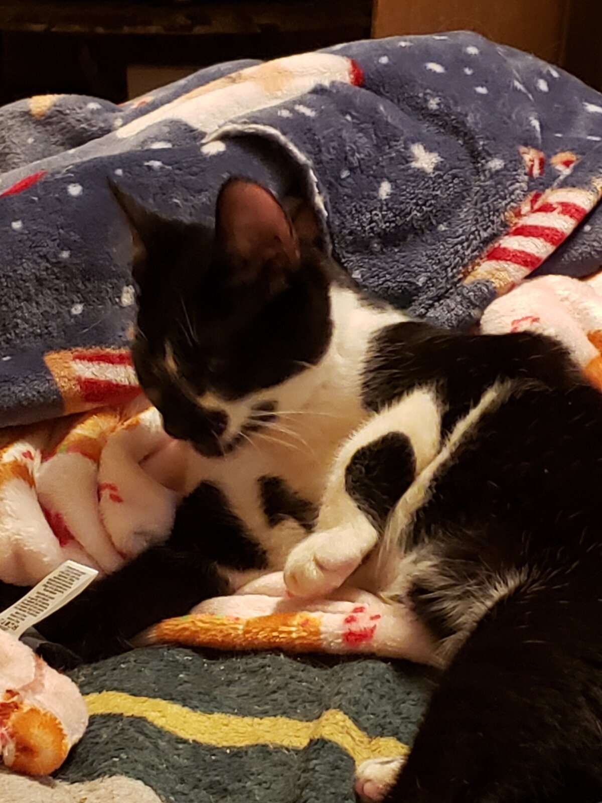 IMG_20240318_094738.