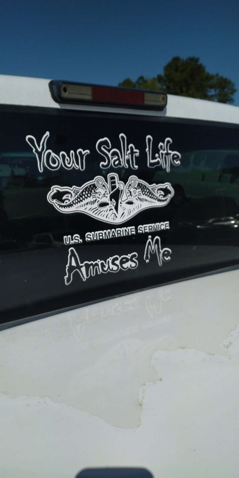 IMG_20240321_111407.