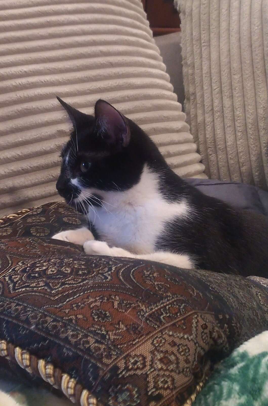 IMG_20240323_174409~2.