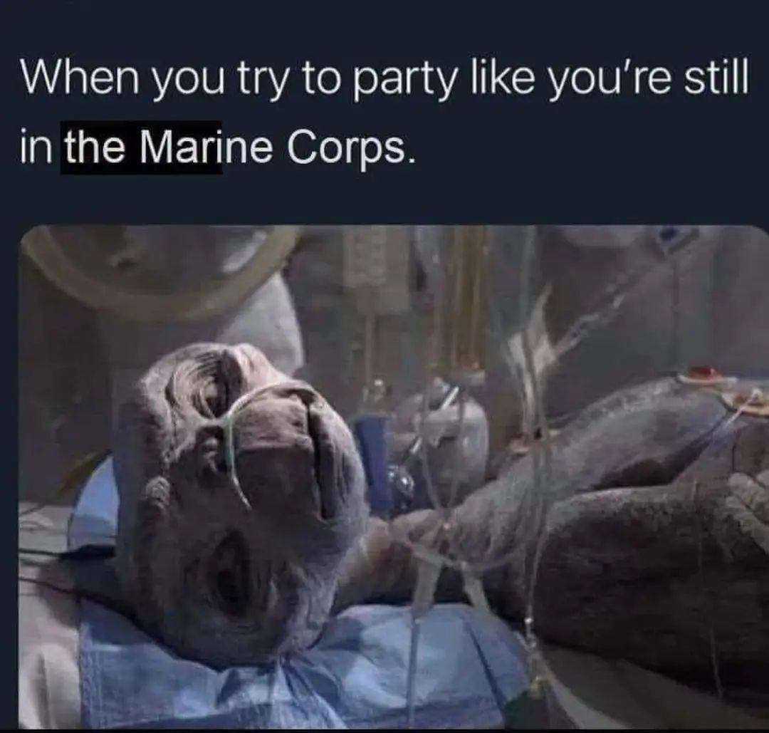 IMG_20240327_153431.