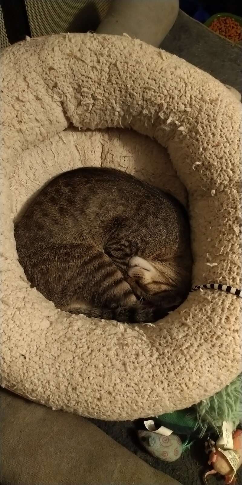 IMG_20240330_191612.