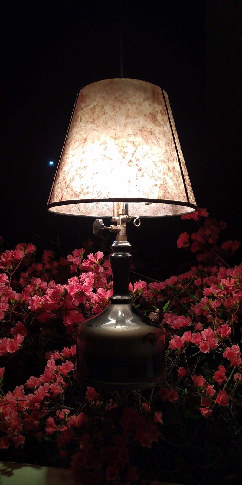 IMG_20240330_235531.