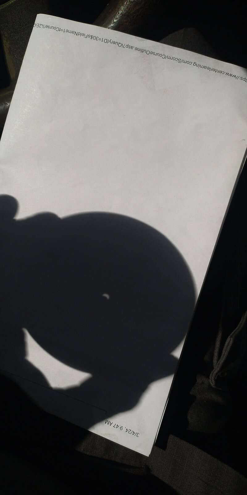 IMG_20240408_154606.