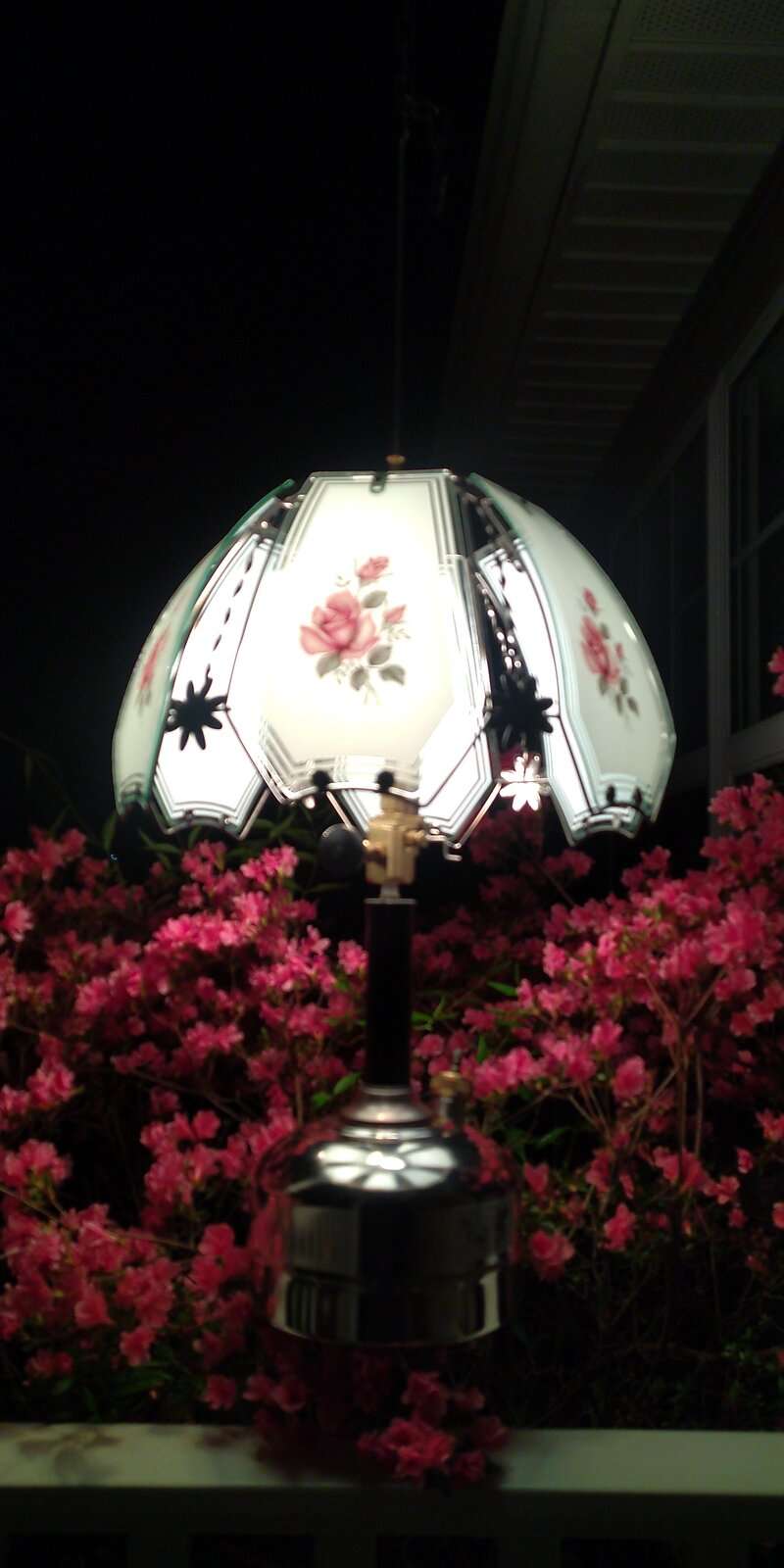 IMG_20240408_221926.