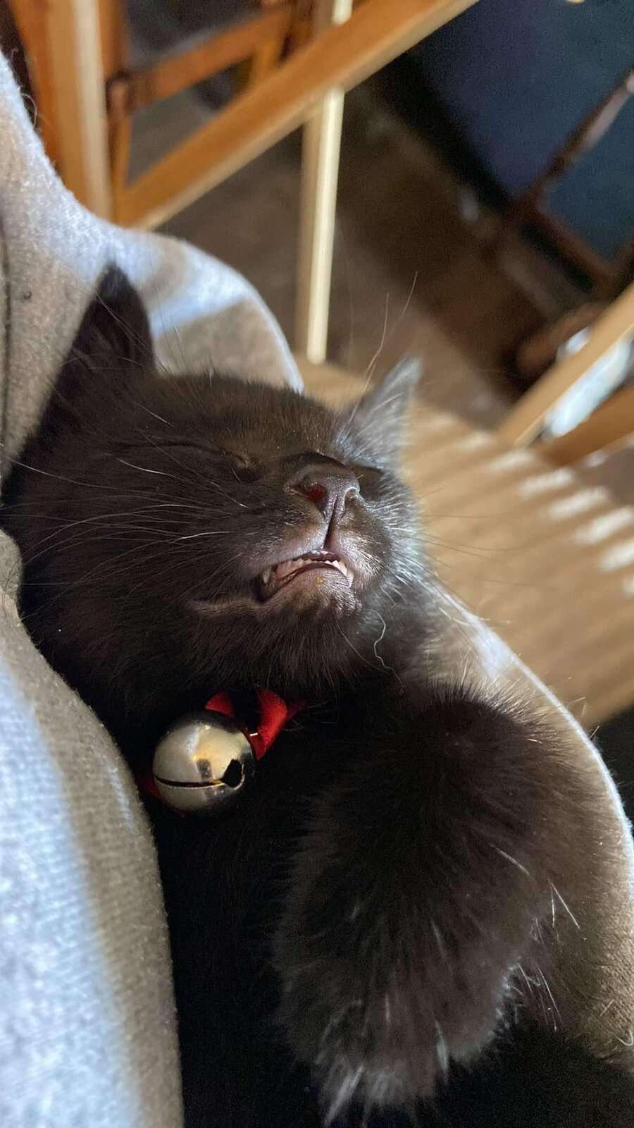 IMG_20240827_201327.