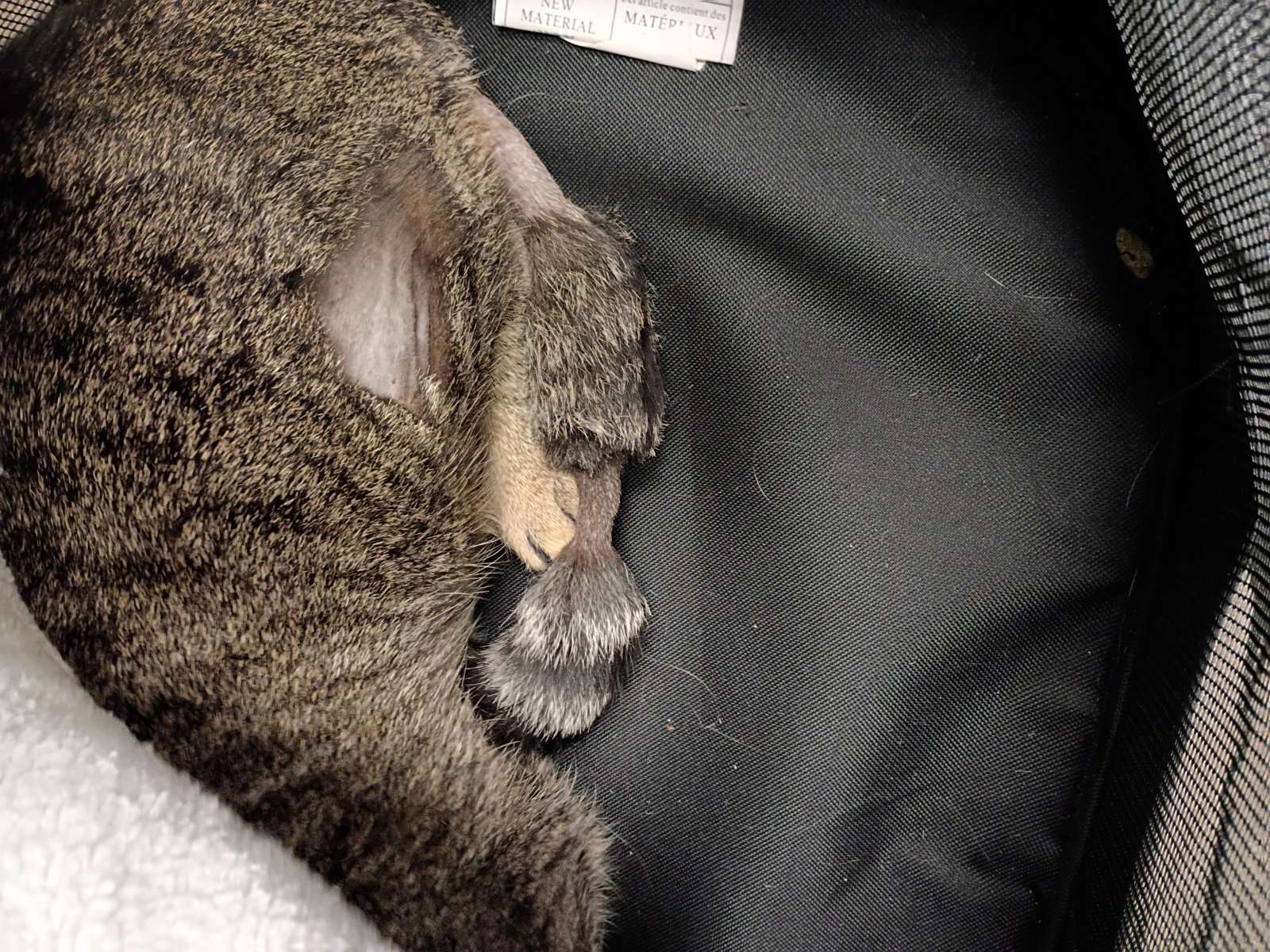 IMG_20260402_212000920_HDR.