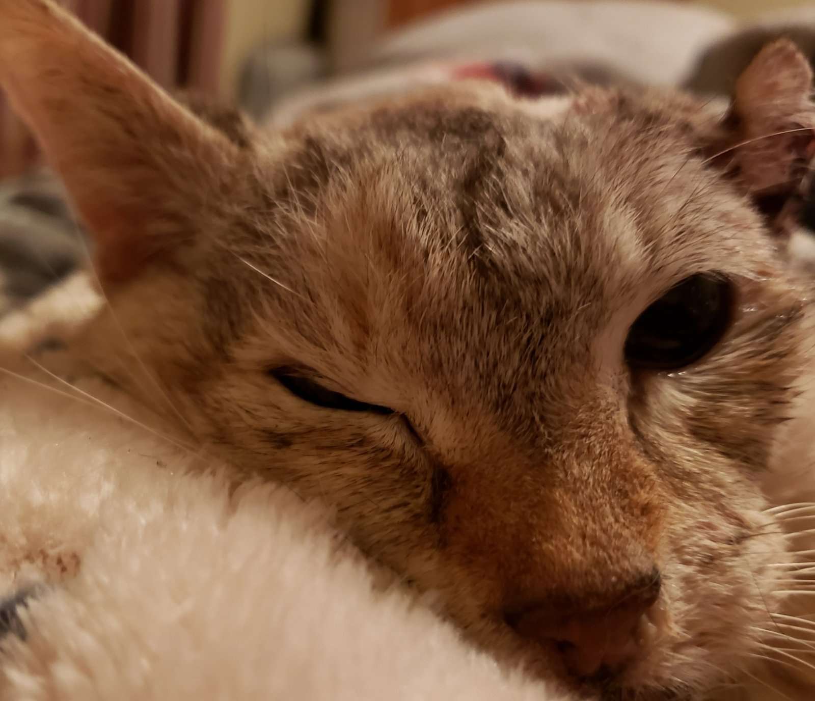 IMG_20260407_160116.