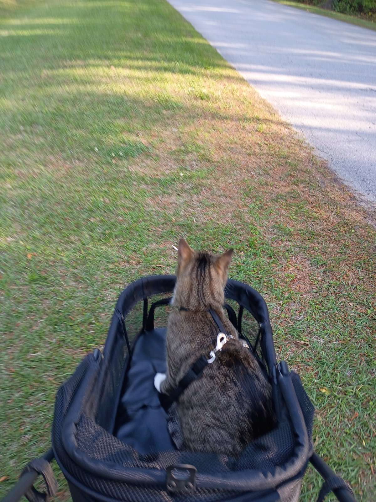 IMG_20260412_174000586_HDR.