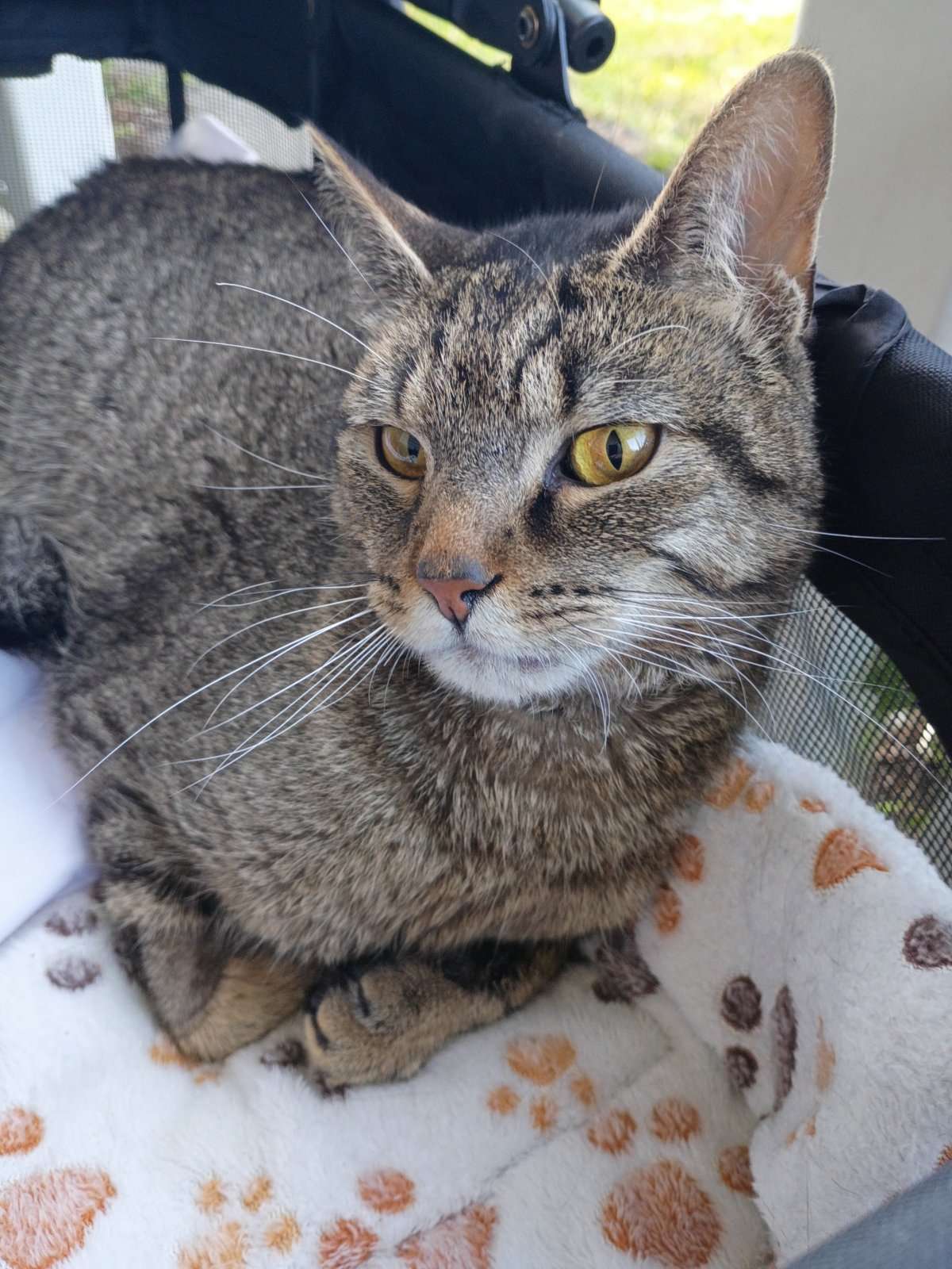 IMG_20260412_181056063_HDR.