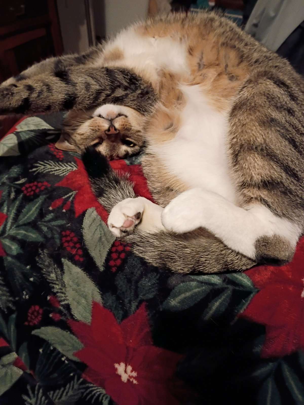 IMG_20260413_014515688.