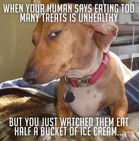 IMG_3496.PNG.