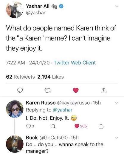 Karen-meme.