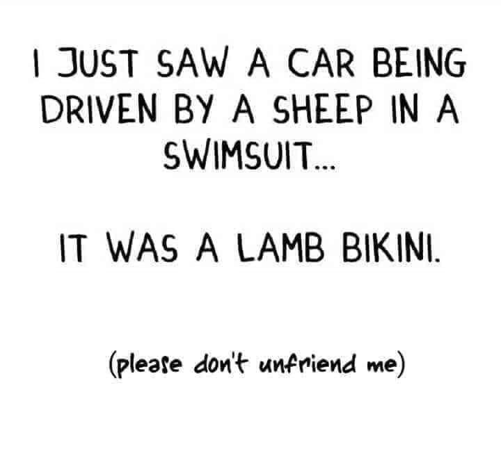 Lamb Bikini 07252021.