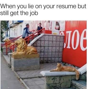 Lie-on-resume.