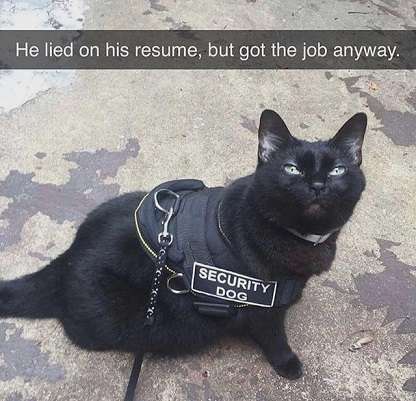 Lied-of-resume.