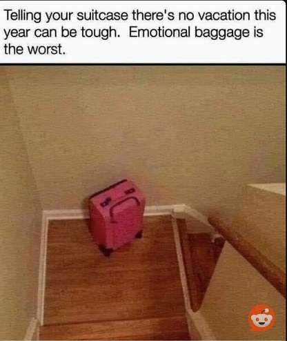 Luggage.