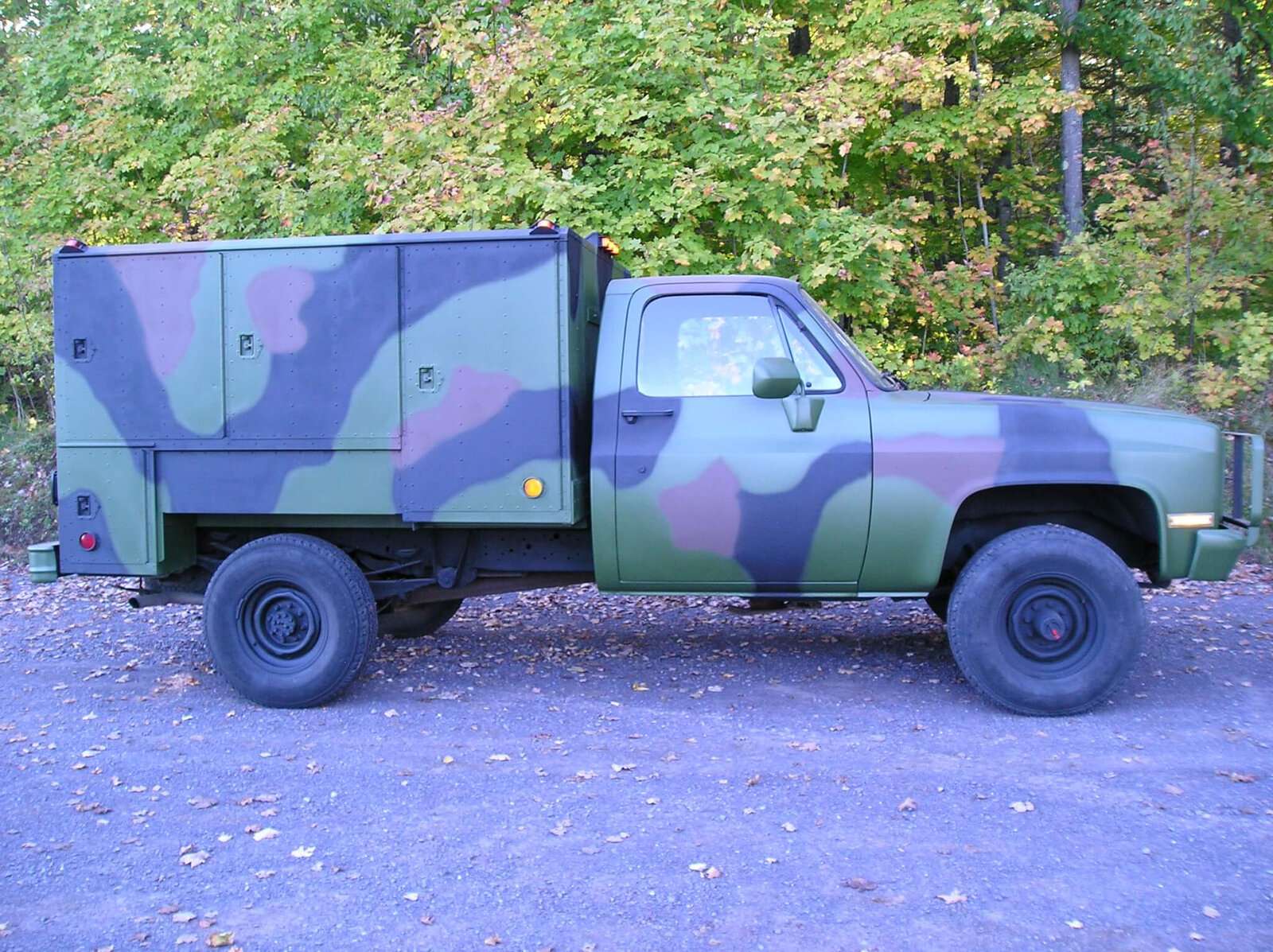m1031.