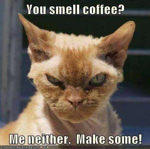 make some coffee!!!!!.