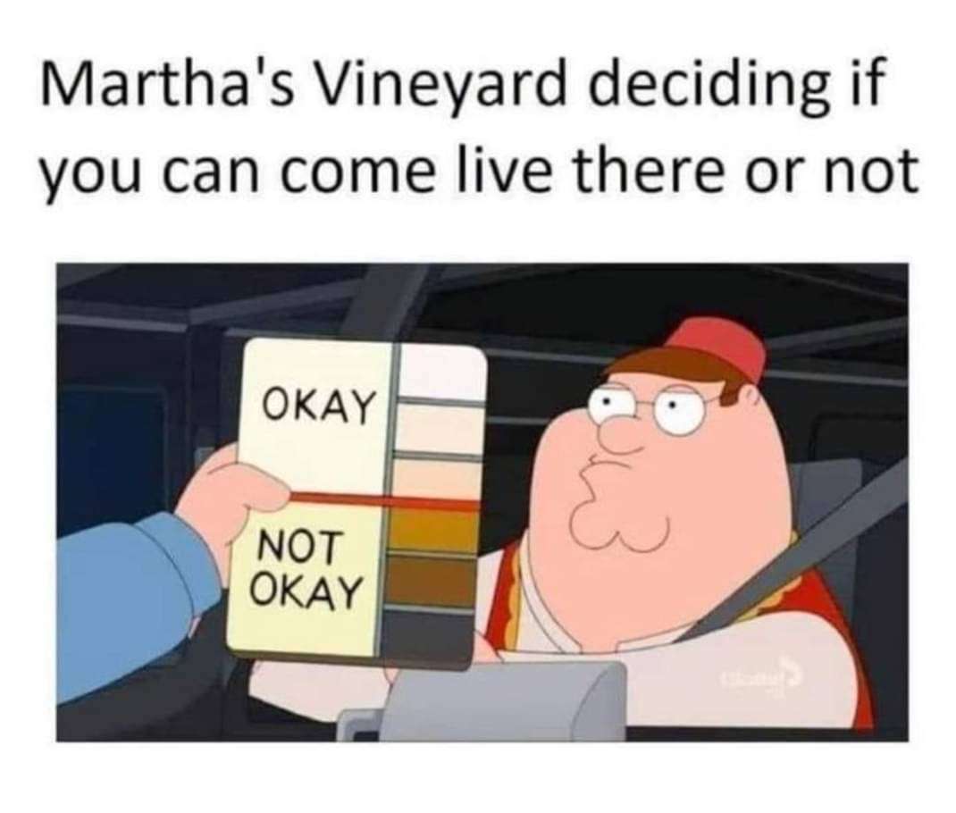 marthasvineyard.