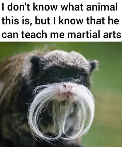 Martial-Arts-teacher.