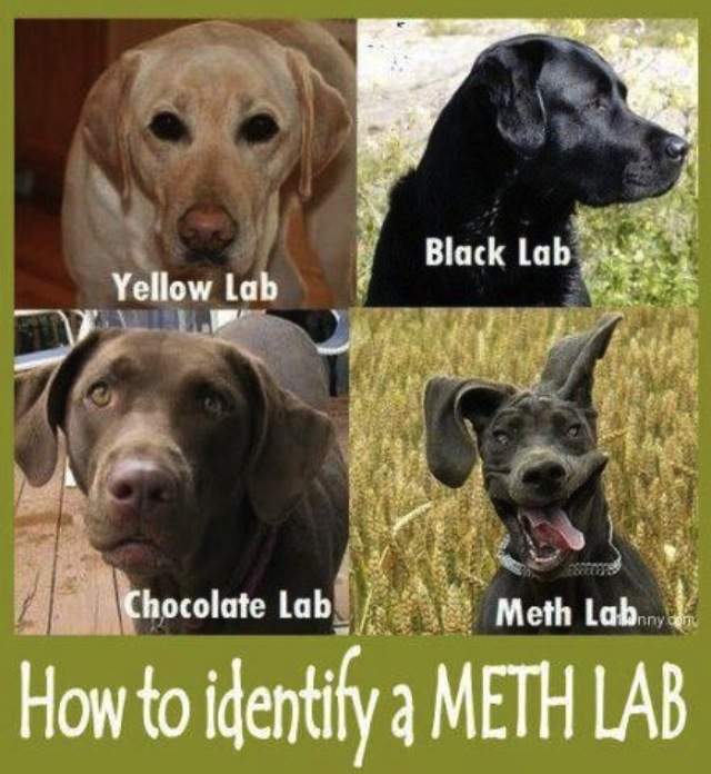 meth-lab.