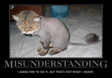misunderstanding.