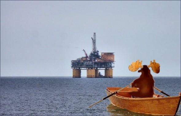 moose rowing out to oilrig to see gator.JPG