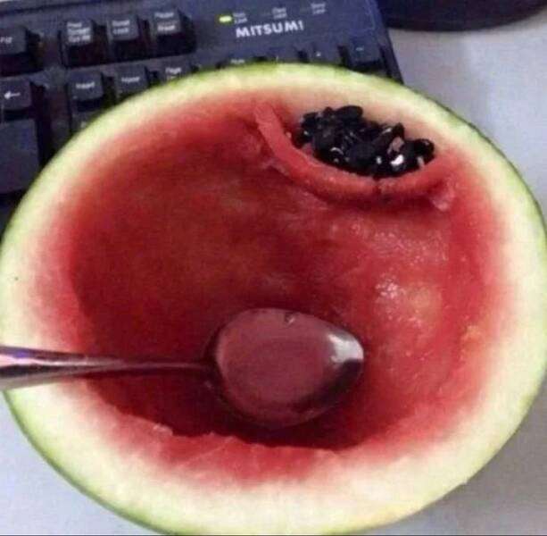 morning_picdump_3923_640_24.
