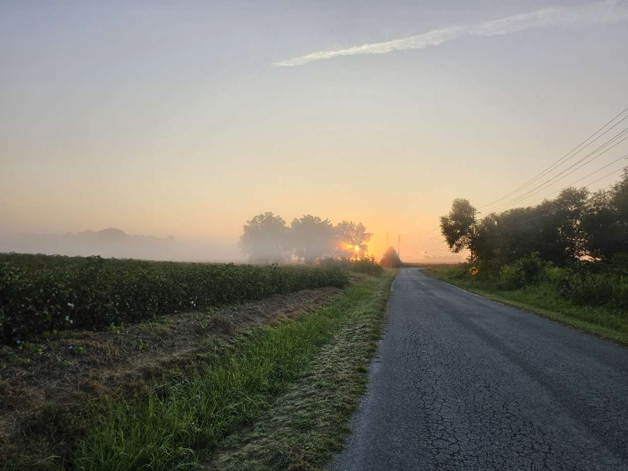 MorningWalk.