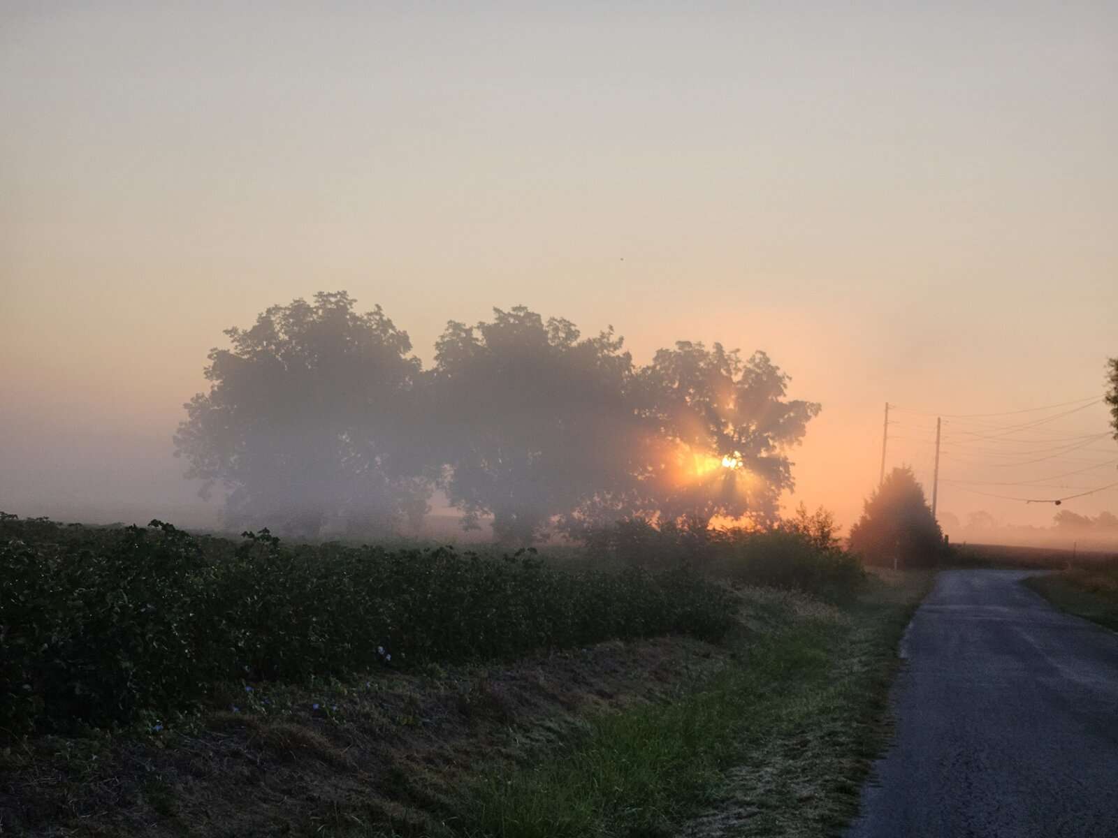MorningWalk2.