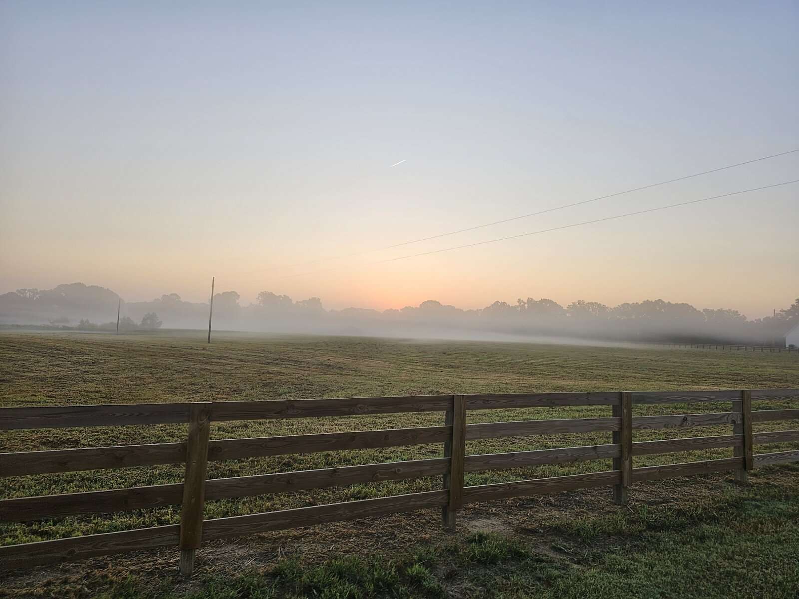 MorningWalk3.