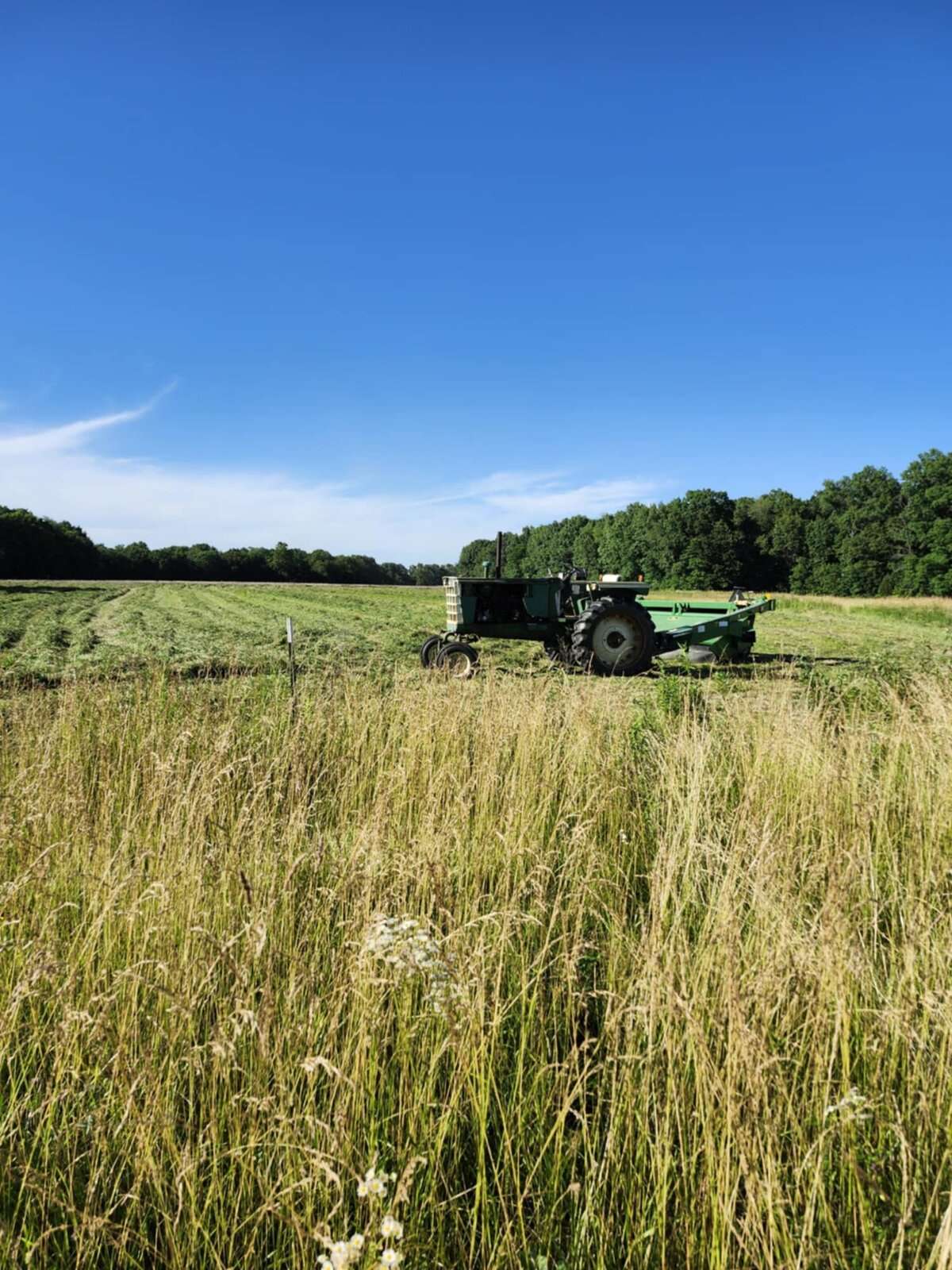 mowing.