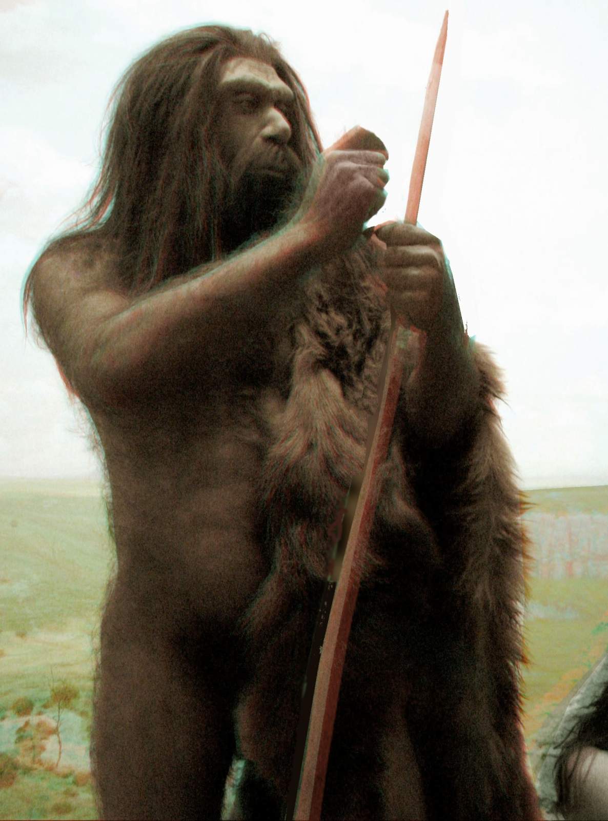 Neanderthal_2D_src.