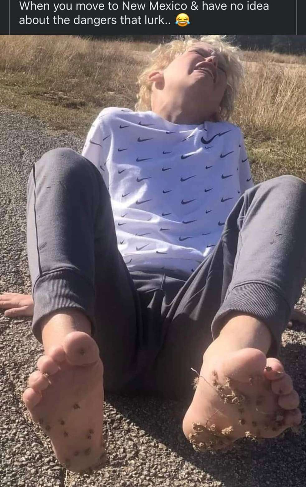 nm.