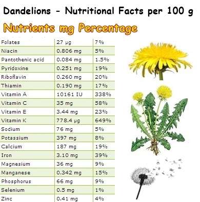Nutritional-Facts-Dandelions.