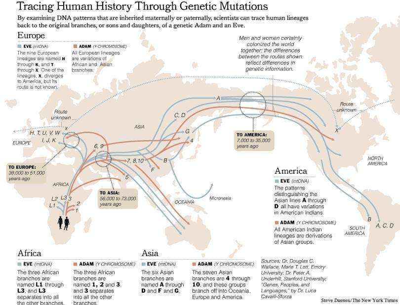 NYTmtDNA_Migrations-Map2.