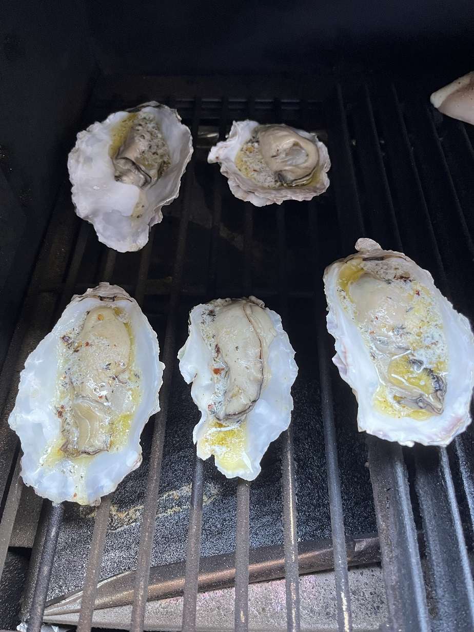 Oysters.