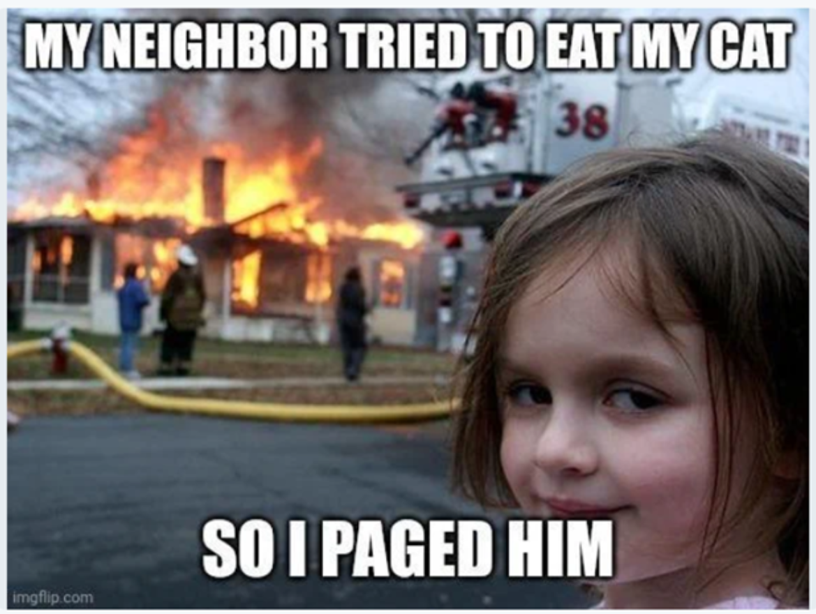 paged_cat.