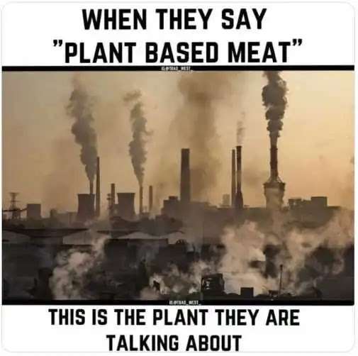 plant-based-meat-means-chemical-pollution.