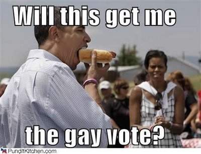 political-pictures-barack-obama-gay-vote.