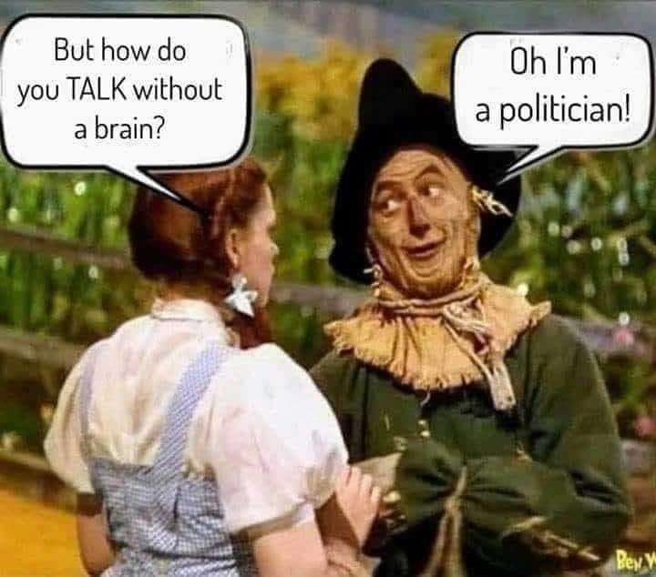 politician-meme.