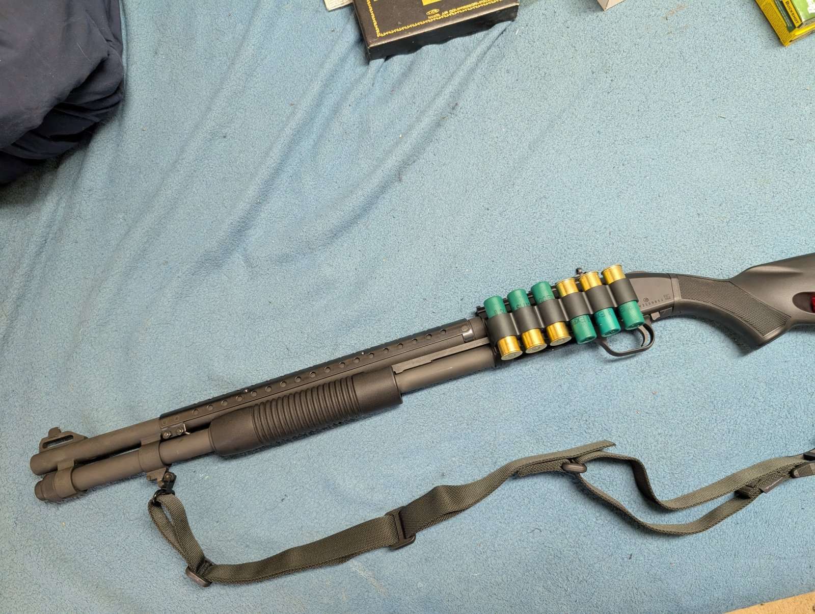 PXL_20260211_014406270.