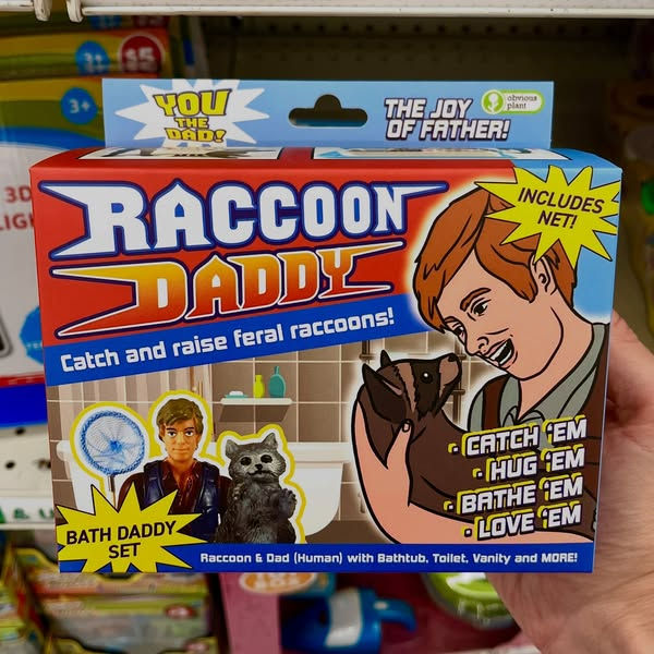 raccoon-daddy-1.