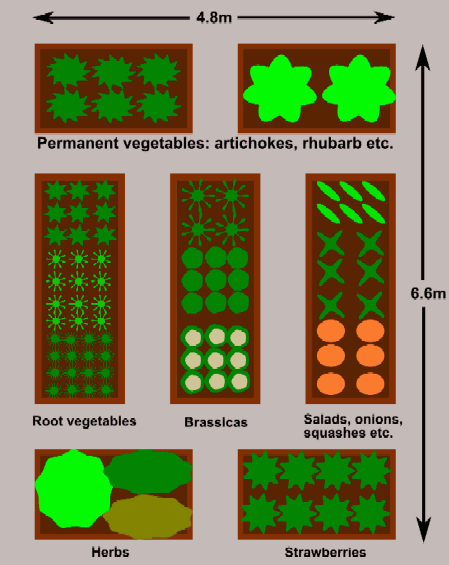 raised-bed-vegetable-gardens-1.