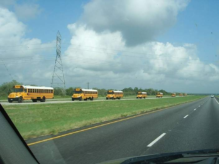 school busses.JPG